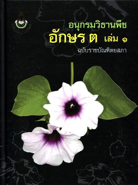 ไฟล์:Plant ต 1.jpg